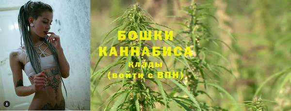винт Лабытнанги