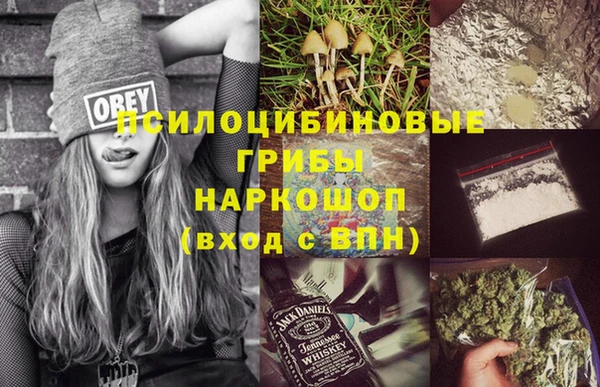 винт Лабытнанги