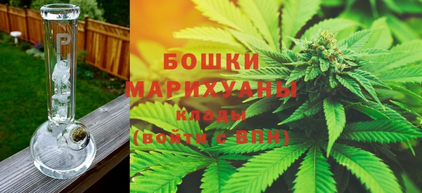 прущие грибы Лагань
