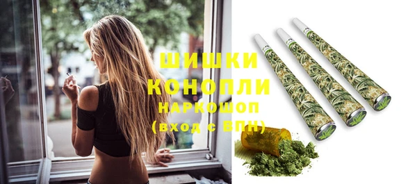 винт Лабытнанги