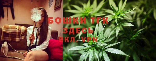 прущие грибы Лагань